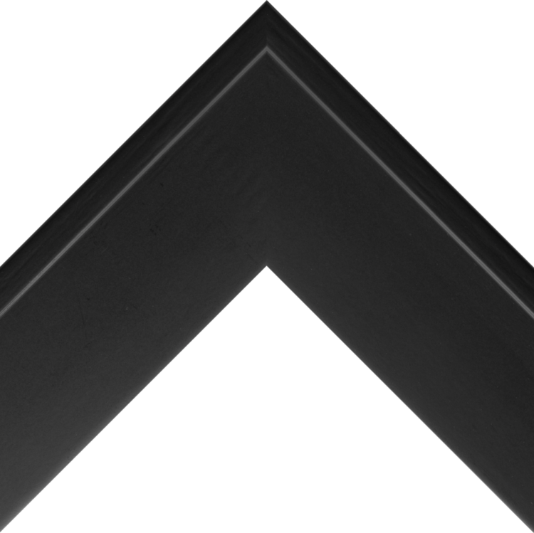 Larson-Juhl #324940