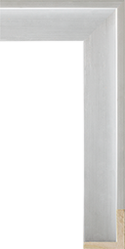 Essentials 2' Float Silver