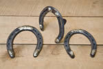 DuraSafe Horseshoes (Borium)