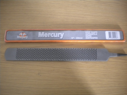 Mercury Rasp