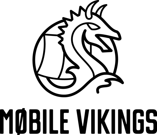 Viking Store
