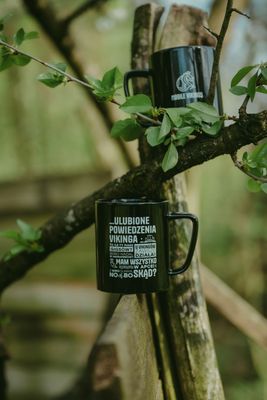 Kubek Powiedzenia Vikinga 10 GB