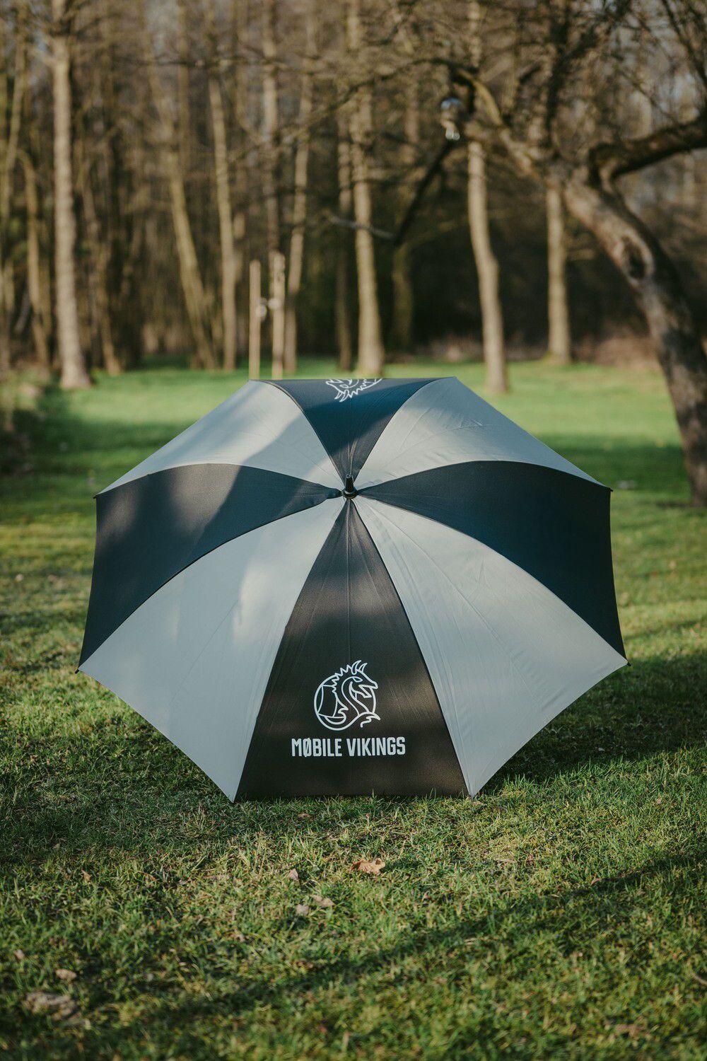 Parasol ochronny (anty-5G) 650-325 GB