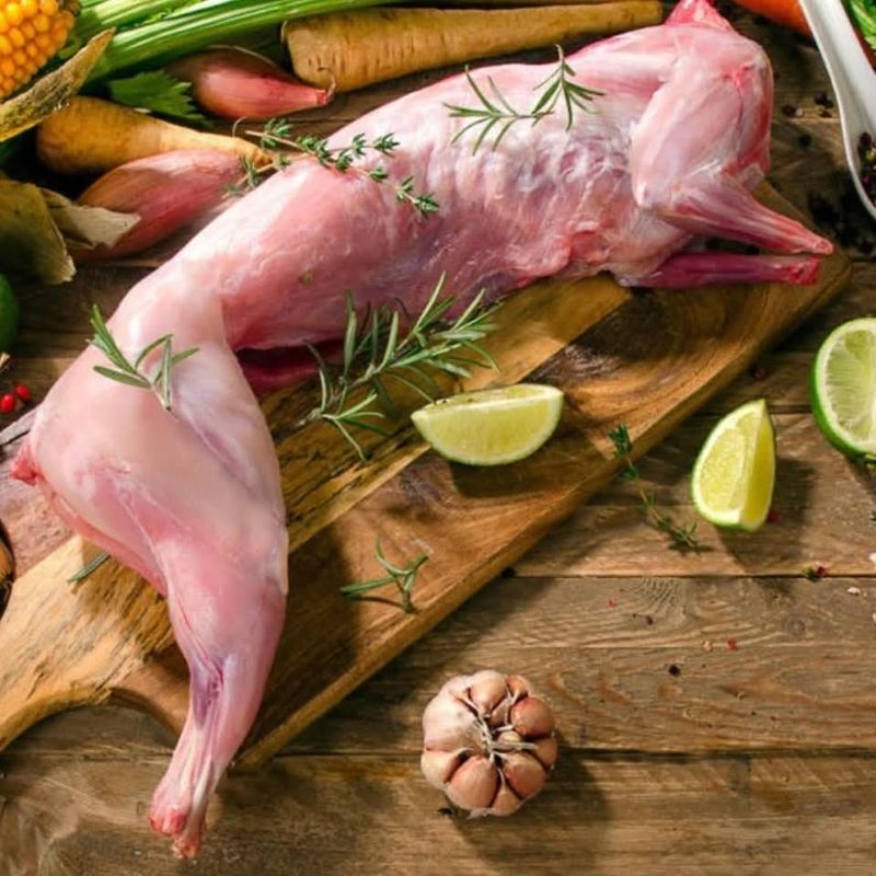 Fenek (Rabbit)