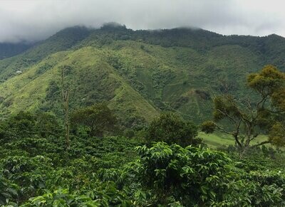 Colombia