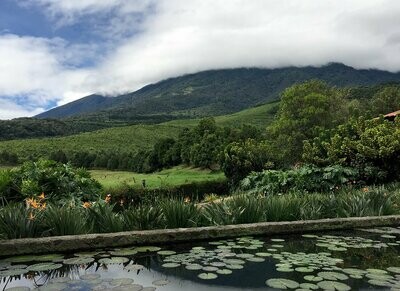 Guatemala