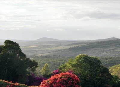 Kenya