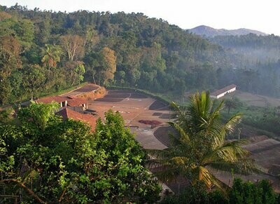 Monsoon Malabar
