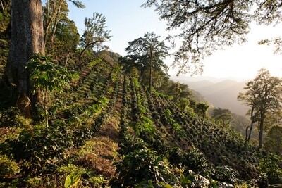 Nicaragua