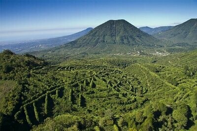 El Salvador