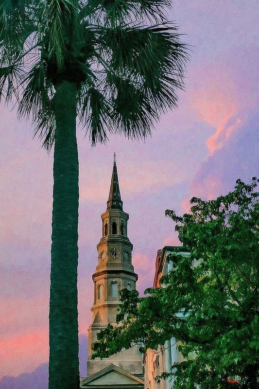 "Philips Palmetto"