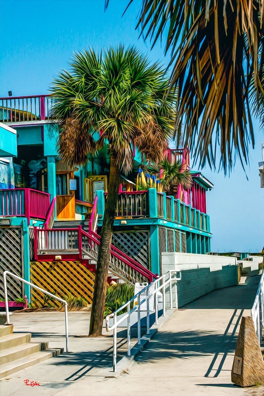 "Vibrant Life Coconut Joe's"