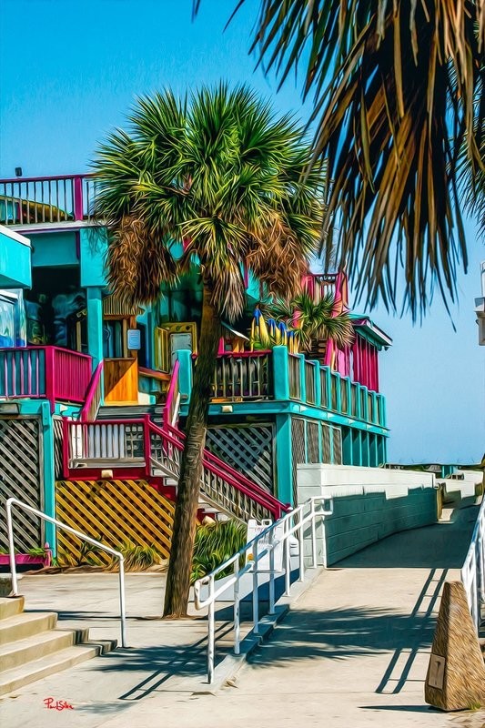 "Vibrant Life Coconut Joe's"