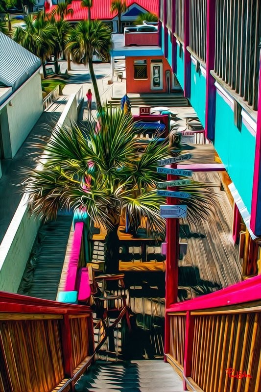 "Vibrant Life Palm Blvd"