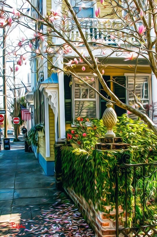 "Queen Street Vibrant Life"