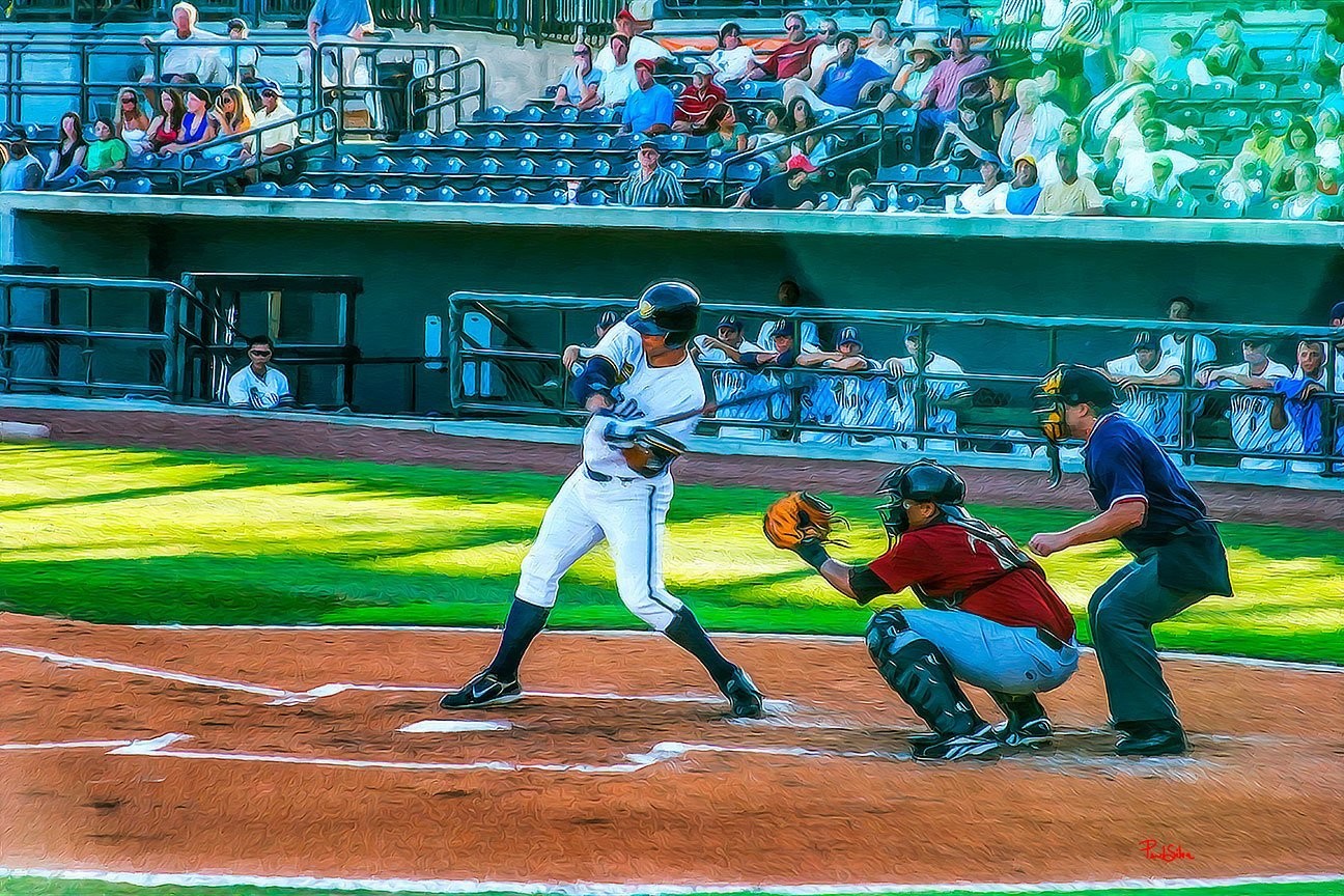 "Riverdogs Vibrant Life 003"