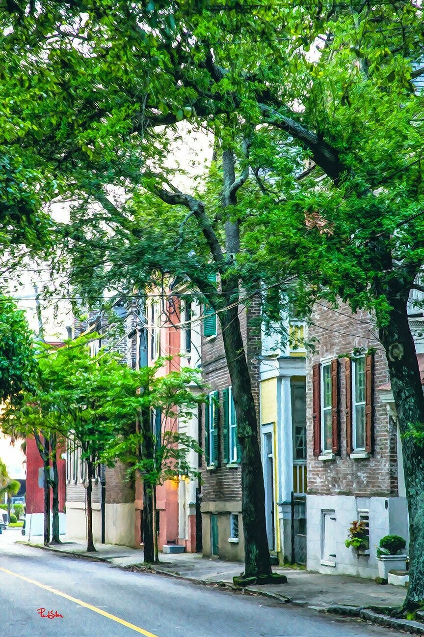 "Hassel St Morning Vibrant Life"