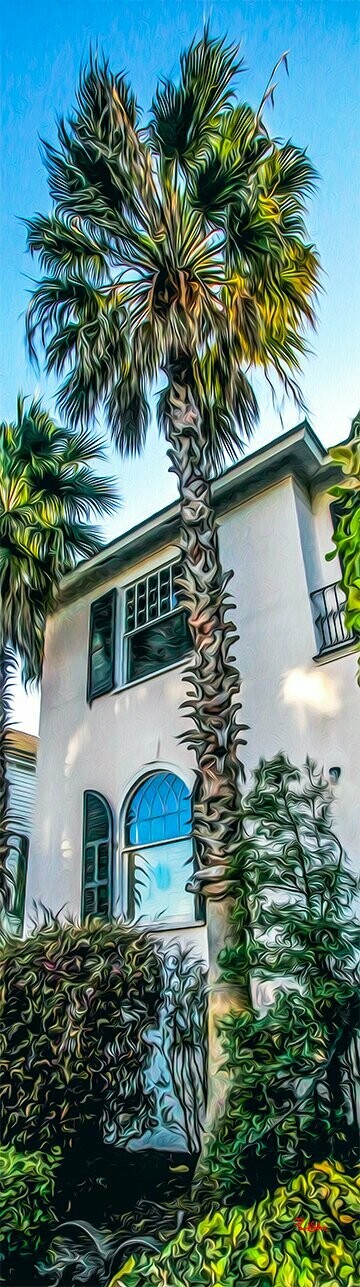 "Palmetto Palace 10x36"