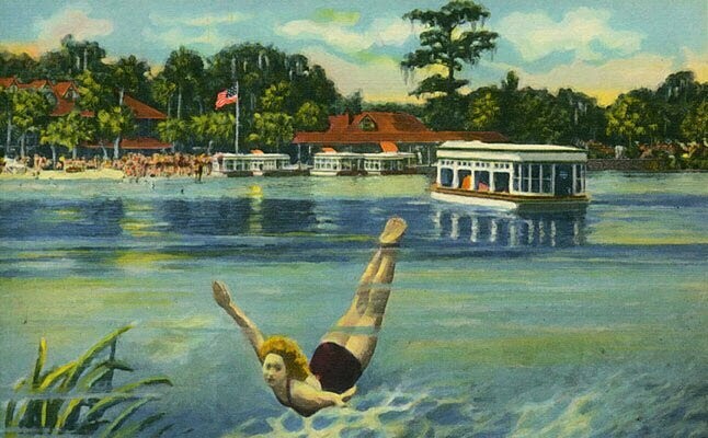 "Silver Springs Florida" circa 1950