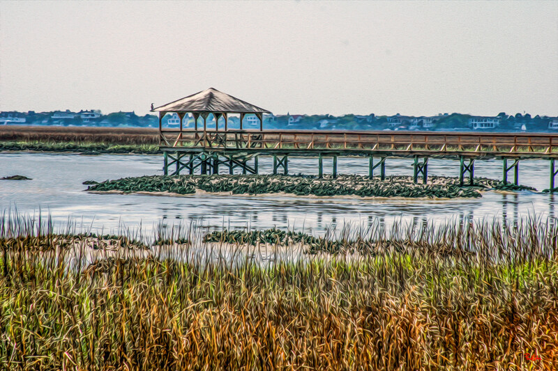 "Pitt Street Oyster Beds"