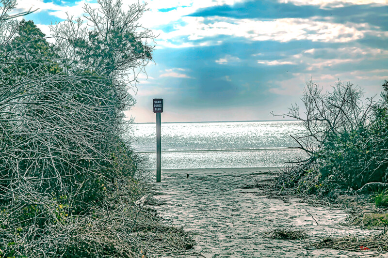 "Sand Dunes Club"