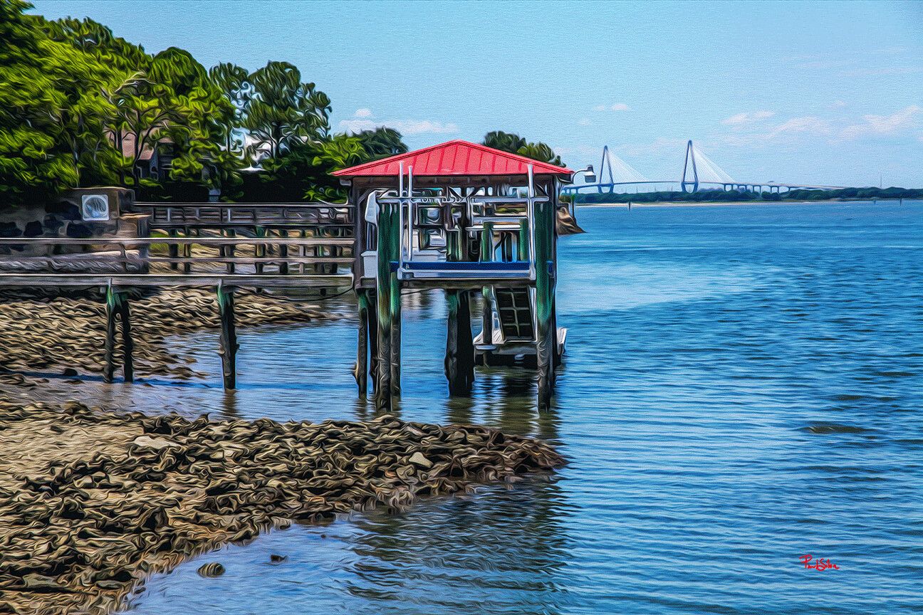 "Vibrant Life Redtop Dock"