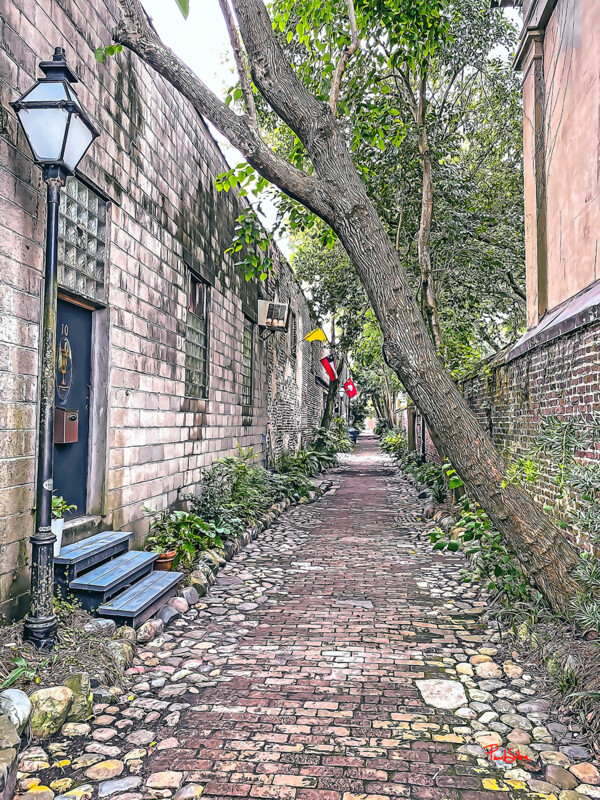 "Philadelphia Alley Heading South"