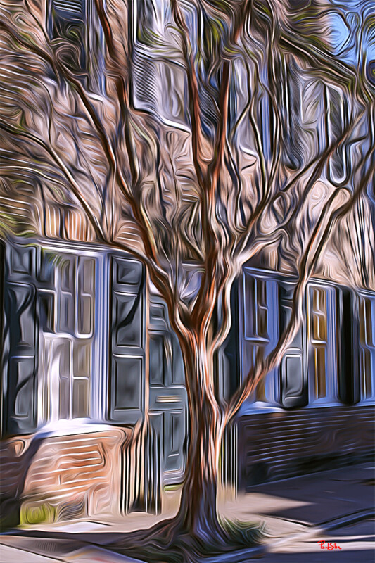 "Shade of Winter"