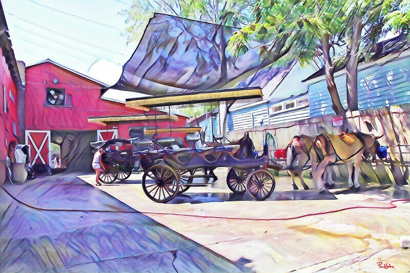 "Behind the Barn" Colorful Painter Series