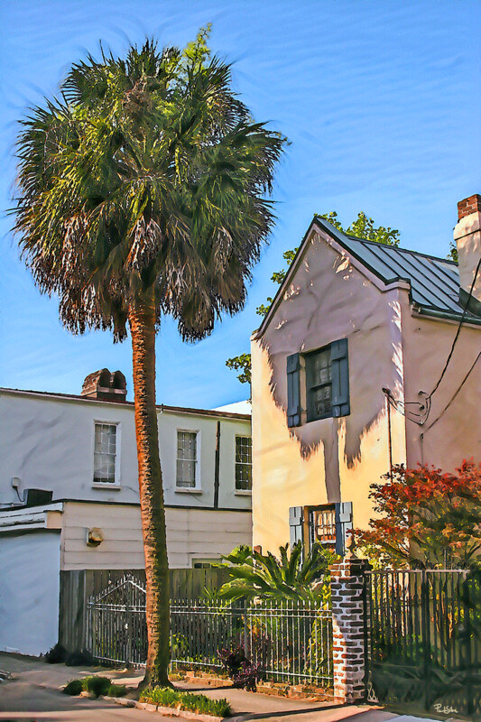 "Palmetto Shadow" Colorful Painter Series