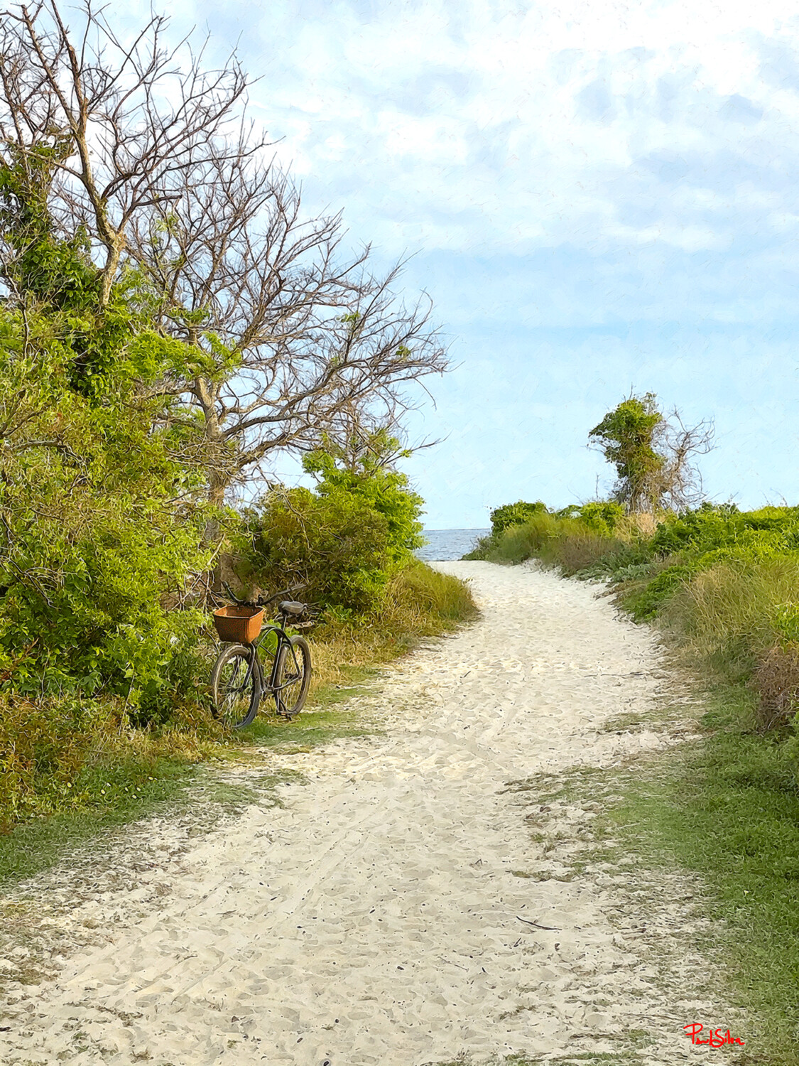 "Ocean Bicycle Path"