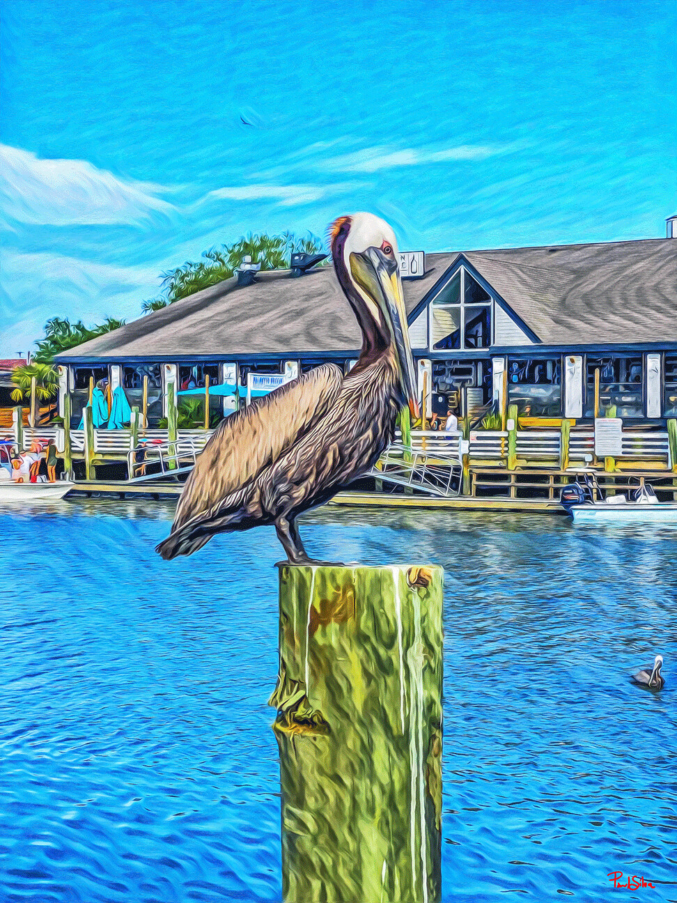 "Rob's Pelican" Colorful Painter Series