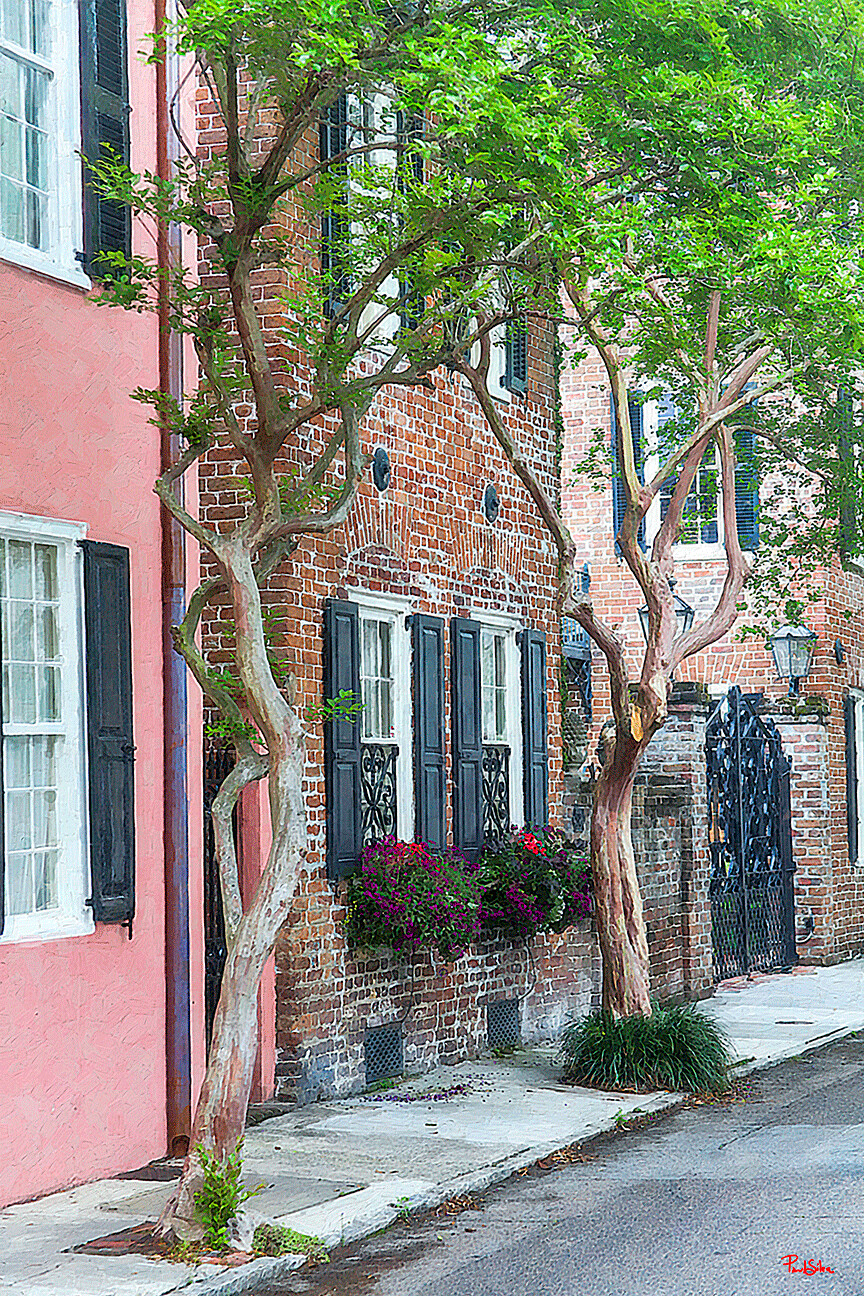 "Crepe Myrtle Framed Window Boxes"
