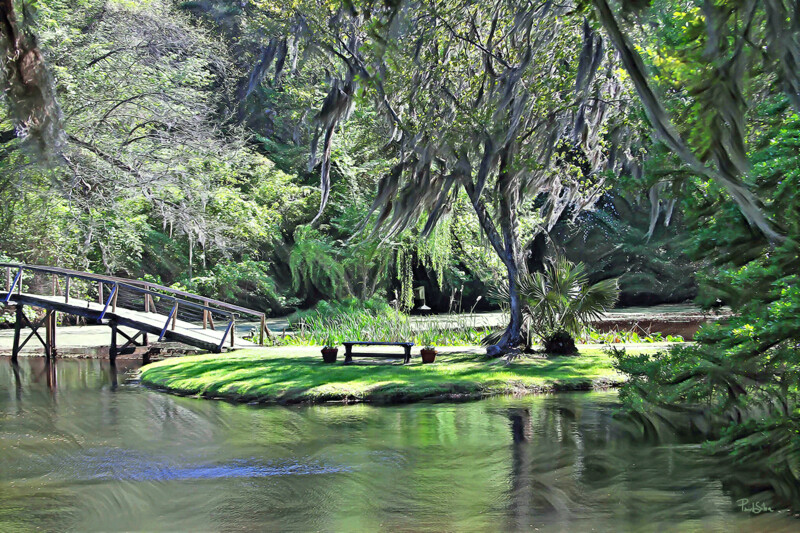 "Magical Middleton" Colorful Painter Series