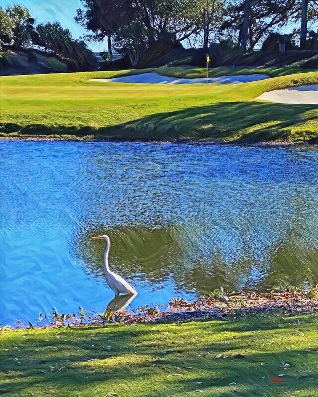 "Dunes Club" Colorful Painter Series