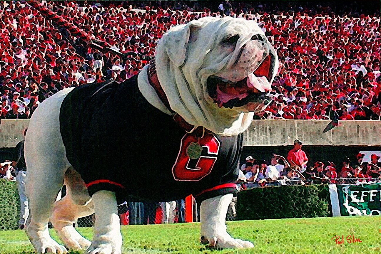 "UGA VI- Whatchagot Lauren"