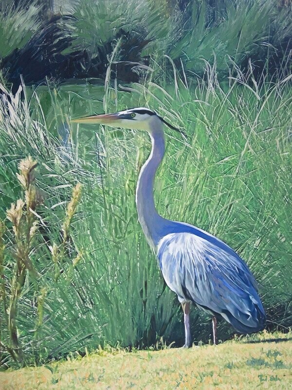 "Great Blue Heron"