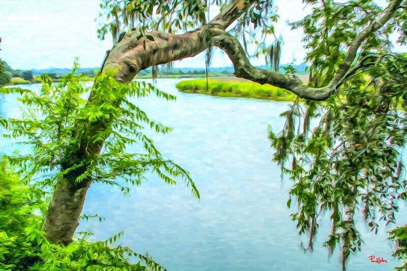 "Ashley River Bend"