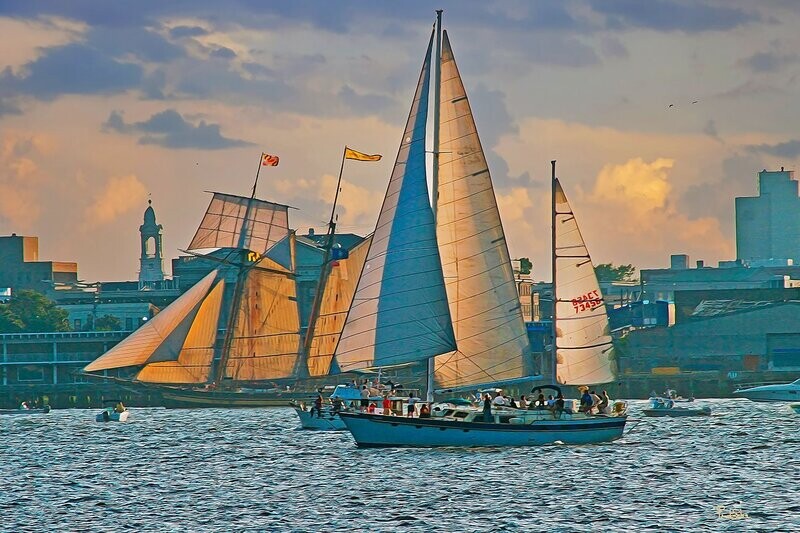 "Tall Ships Throwback"