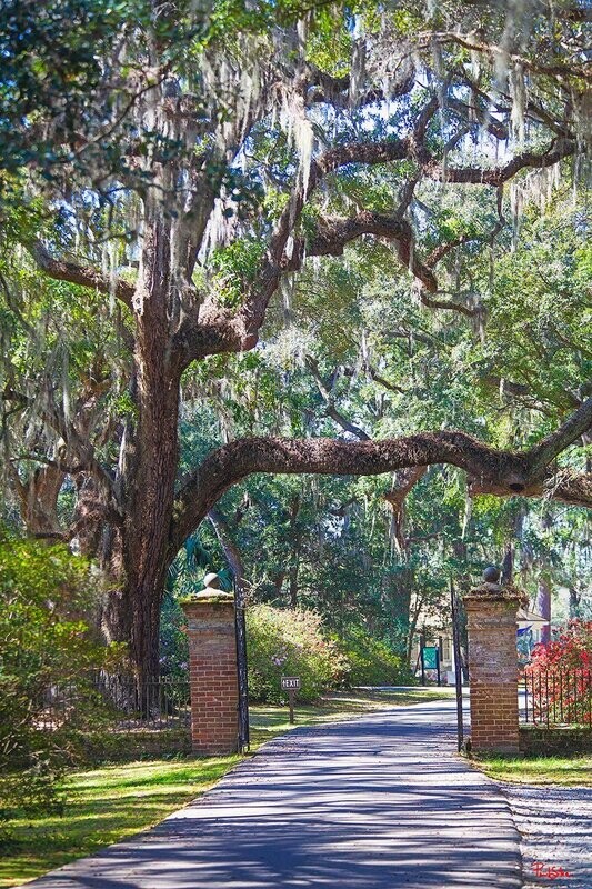 "Legare-Waring Gate Vertical"