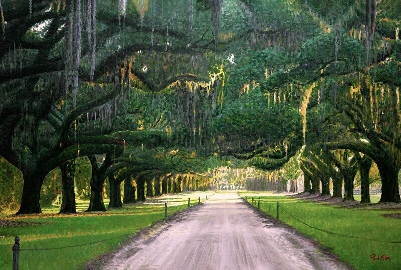 "Avenue of Oaks" 54x36 Hand Painted Oil