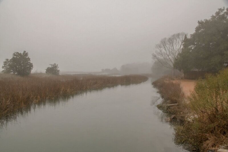 "Lowcountry Morning"