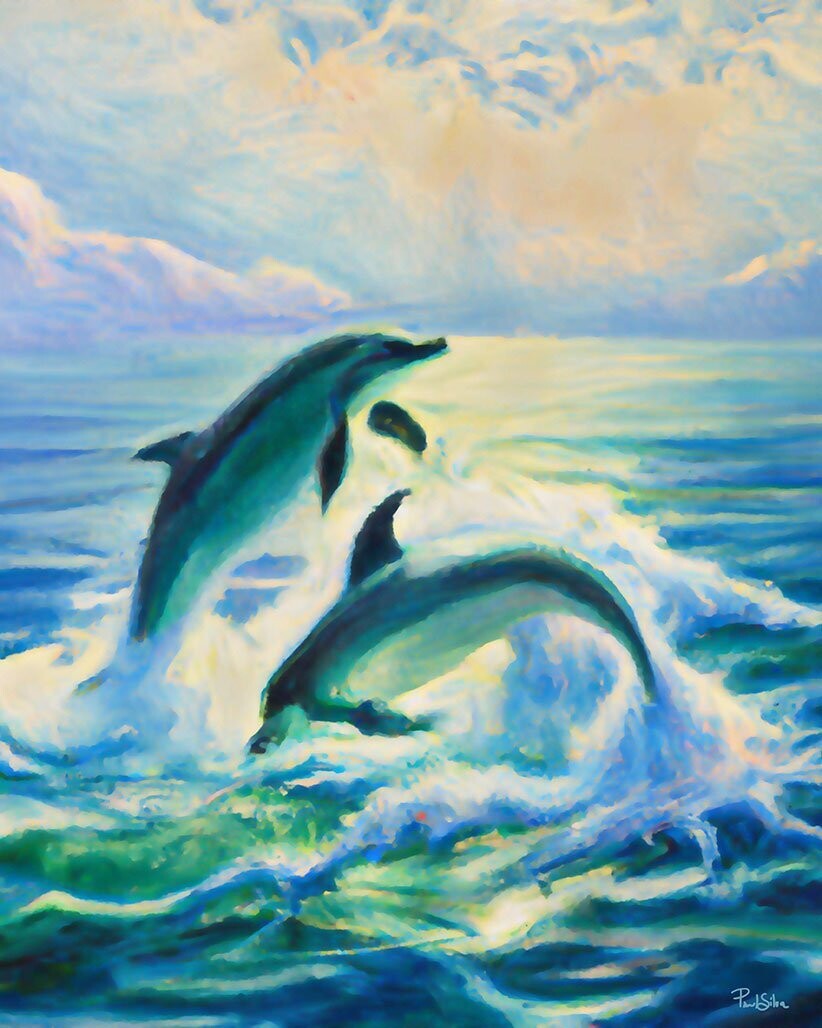 "Dolphin Life"