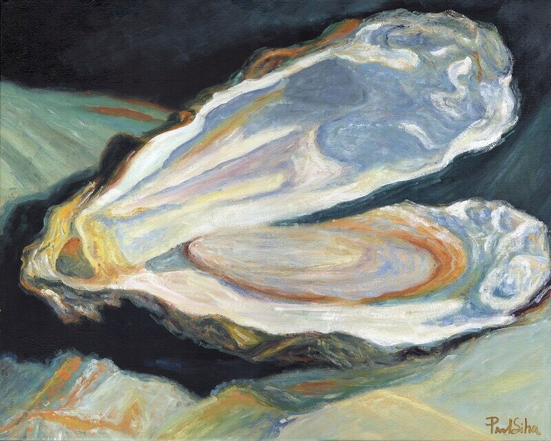 "Oyster" Oil on Canvas 20x16