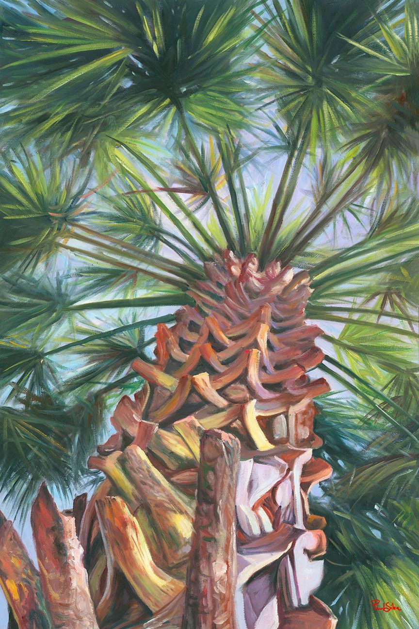 "Palmetto"