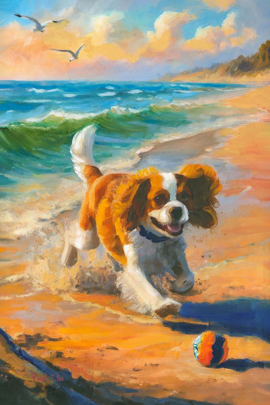 "Cavalier King Charles"