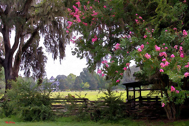 "Magnolia Front Pasture"