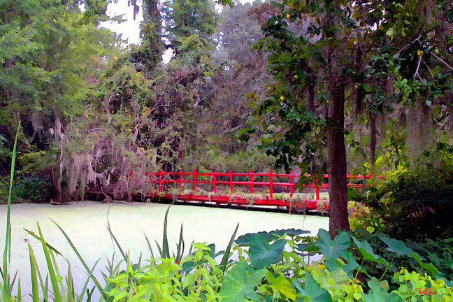 "Magnolia Footbridge"