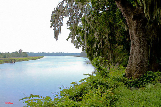 "Banks of the Ashley River"