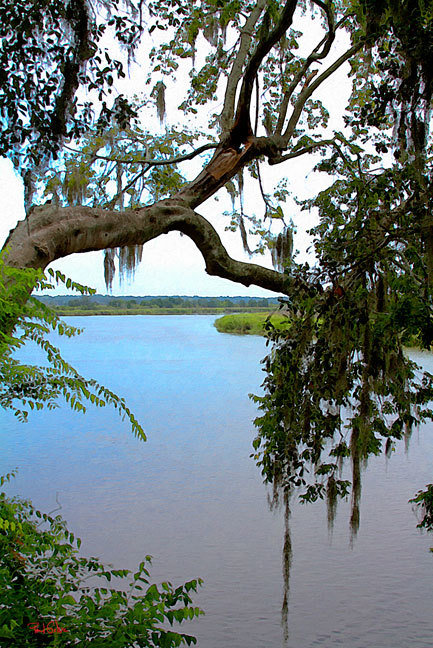 "Ashley River"